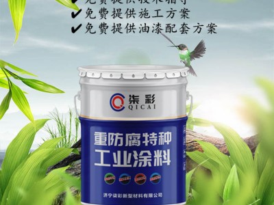 温州无溶剂富锌底漆*