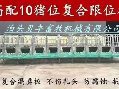 母猪限位栏育肥猪床好安装易清理母猪怀孕保胎栏养猪自动好管理